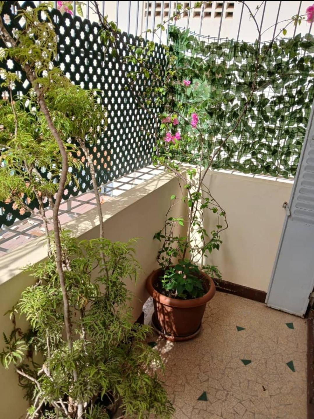 Appartement Sympathique Jules Ferry. داكاغْ المظهر الخارجي الصورة